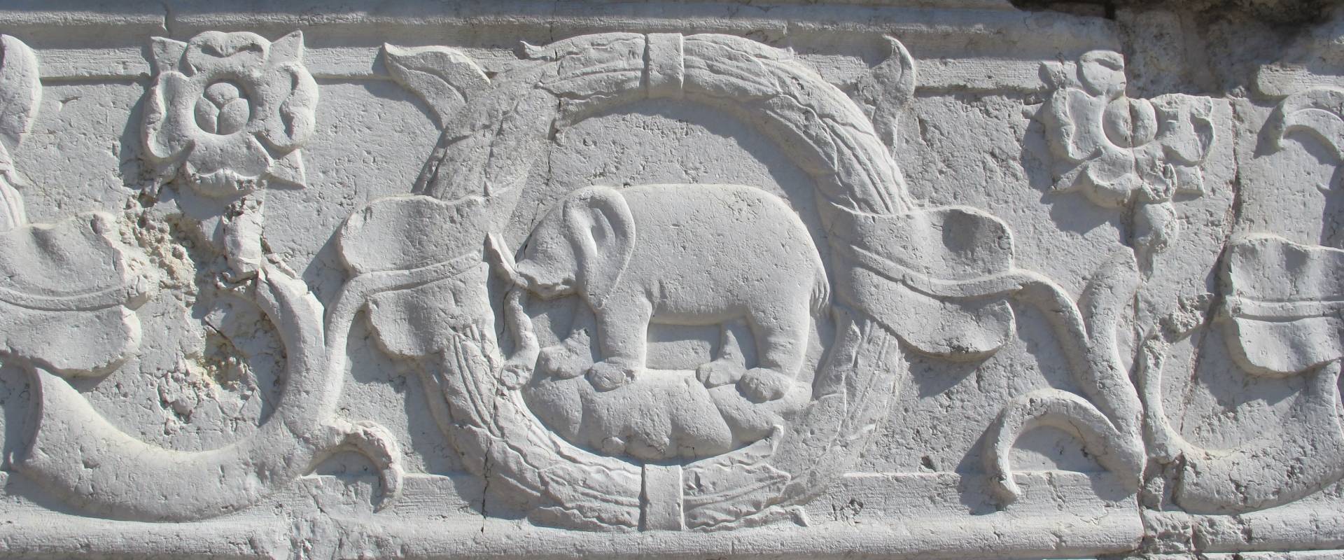Tempio malatestiano, esterno, zoccolo, elefante malatesta 01 foto di Sailko